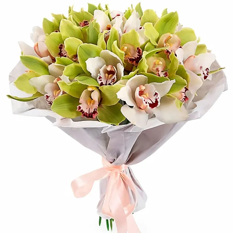 Орхидеи микс бело-зеленый